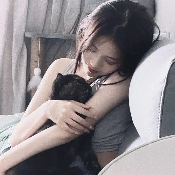 普罗旺斯惊魂记